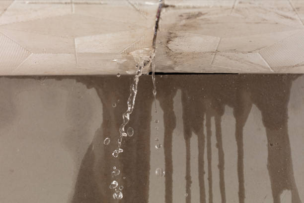 Professional Sewage Cleanup technician working in Hasty, CO